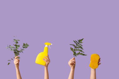 Deterjan şişeleri, sünger ve mor arka planda bitki dalları olan kadın eller.