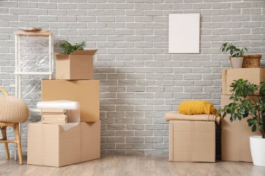 Taşındığı gün oturma odasındaki gri tuğla duvarın yanında içinde ev bitkileri ve raf ünitesi olan karton kutular.