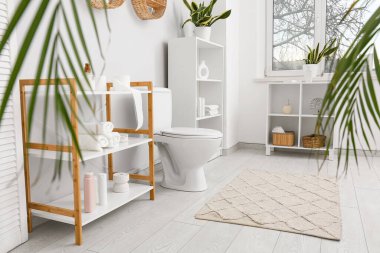 Modern tuvaletin içinde seramik klozet ve ev bitkileri var.