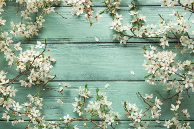 Turkuaz ahşap zemin üzerinde çiçek açan güzel ağaç dallarından yapılmış bir çerçeve.