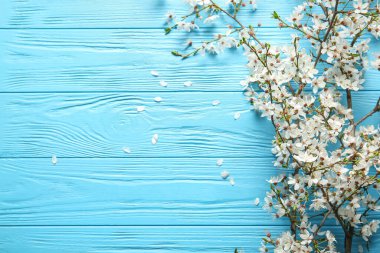 Mavi ahşap arka planda güzel ağaç dalları