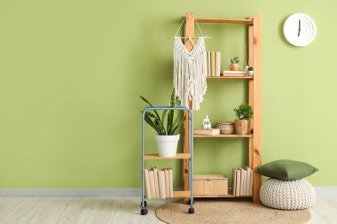 Yeşil duvarın yanında kitapları, dekorasyonu ve bitkileri olan raf ünitesi