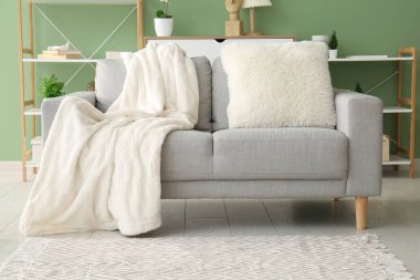 Oturma odasında kareli ve yastıklı rahat bir kanepe.