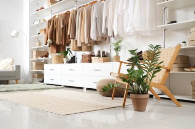 Interior of modern wardrobe with stylish clothes and accessories