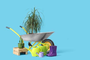 Bitkiler, bahçe aletleri ve mavi arka planda el arabası