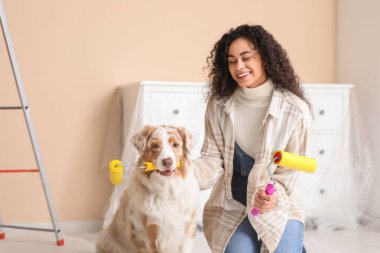 Yeni evdeki tamirat sırasında tatlı Avustralyalı çoban köpeği ve tekerlekli sandalyesi olan mutlu Afro-Amerikan ressam.