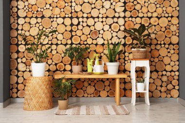 Ahşap tezgah, bahçe aletleri ve bitkilerle dolu atölyenin içi