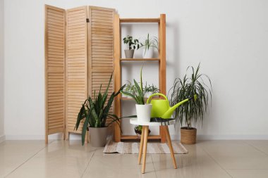 Bahçıvan atölyesinin içinde bitkiler, raf ünitesi ve masa var.