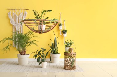 İçinde yeşil bitkiler ve masa olan bir oda.