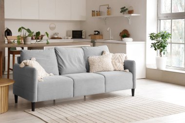 Mutfağın içi gri kanepe, tezgah ve bitkilerle dolu.