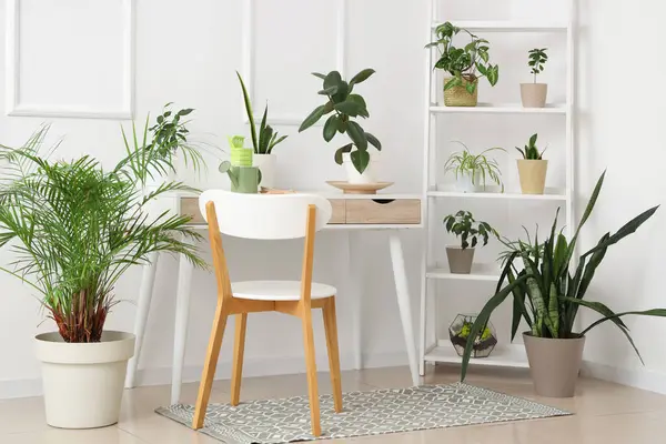 Bahçıvan işyeri, raf ünitesi ve bitkilerle birlikte atölyenin içi