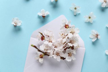 Zarfın içinde güzel bir ağaç dalı ve mavi arka planda çiçekler var.