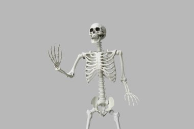 Gri arka planda korkunç insan iskeleti