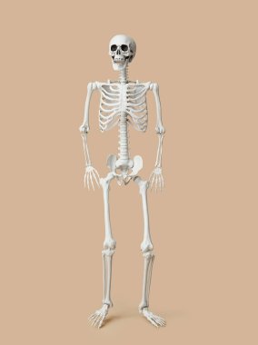 Bej arka planda korkunç insan iskeleti