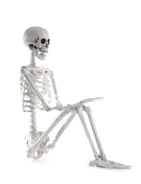 Beyaz arka planda oturan korkunç insan iskeleti.