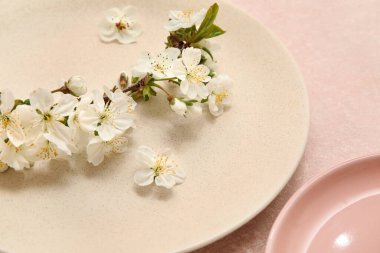 Açık pembe arka planda çiçek açan bir plaka, yakın plan.