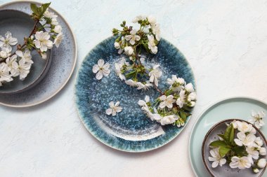 Açık mavi arkaplanda çiçek açan dalları olan farklı temiz tabakalar