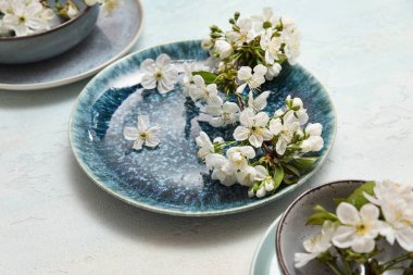 Açık mavi arka planda çiçek açan dalları olan farklı temiz tabakalar, yakın plan