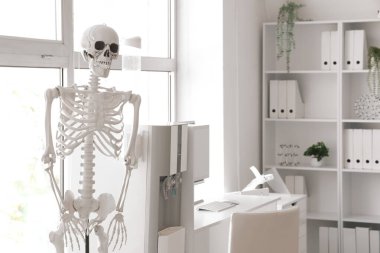 İnsan iskeleti modelli hafif bir hastane.
