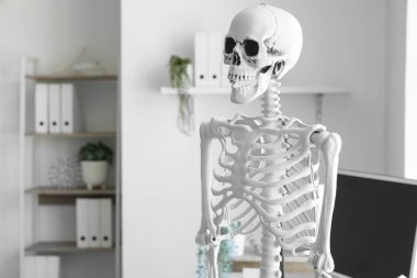 İnsan iskeleti modeli ve modern bilgisayarı olan hafif bir hastane.
