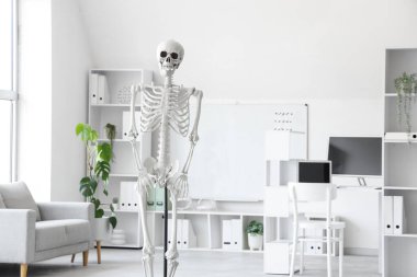 Masada insan iskeleti modeli, modern dizüstü bilgisayarı ve bilgisayarı olan hafif bir hastane var.