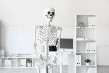 İnsan iskeleti modeli ve beyaz tahtası olan hafif bir hastane.