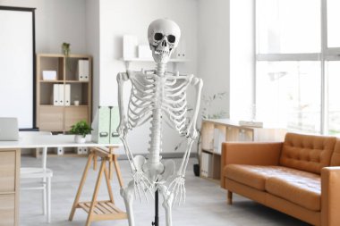 İnsan iskeleti modeli ve projektör ekranlı hafif bir hastane.