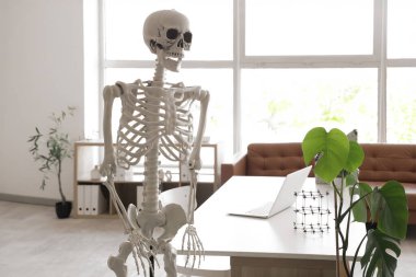 Masada insan iskeleti modeli ve modern dizüstü bilgisayarı olan hafif bir hastane.