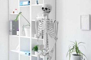 Hafif hastanede insan iskeleti modeli, yakın plan.