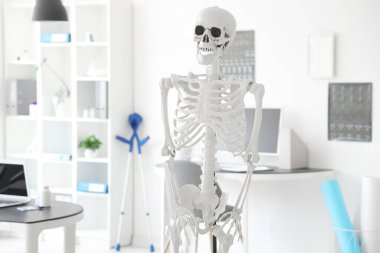 Hafif hastanede insan iskeleti modeli