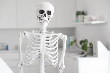 Hafif hastanede insan iskeleti modeli, yakın plan.