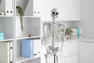 İnsan iskeleti modelli hafif bir hastane.
