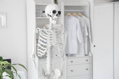 Hafif hastanede insan iskeleti modeli, yakın plan.