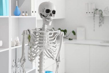İnsan iskeleti modelli hafif bir hastane.