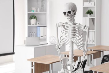 İnsan iskeleti modeli, masa ve projektör ekranlı modern dizüstü bilgisayarlı hafif hastane konferans salonu.