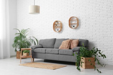 Gri kanepeli ve sepetli ev bitkileriyle şık bir oturma odası.