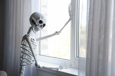 Oturma odasındaki pencerenin yanındaki iskelet.