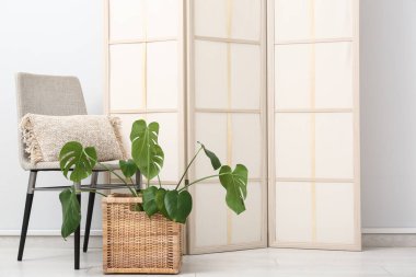 Koltuklu, katlanır perdeli ve sepette palmiye bitkisi olan odanın içi.