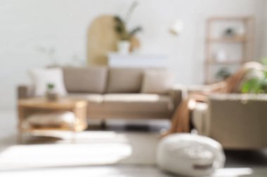 Sıcak gri koltukları, kahve masası ve çiçekleri olan şık oturma odasının bulanık manzarası