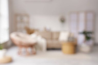 Rahat gri kanepesi, koltuğu ve sehpası olan şık bir oturma odası.