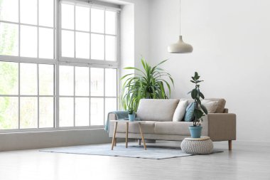 Gri kanepe, masa ve bitkilerle aydınlık oturma odasının içinde.