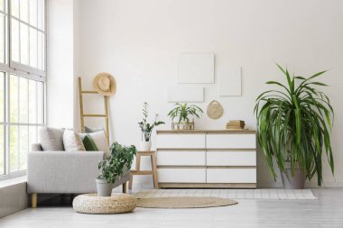 Gri kanepe, tuvalet ve bitkilerle aydınlık oturma odasının içinde.