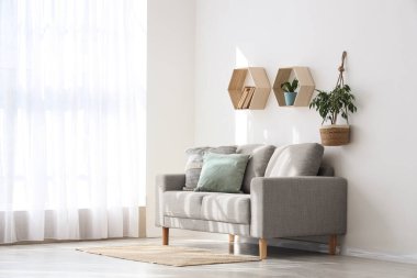 Gri kanepe, raflar ve bitkilerle aydınlık oturma odasının içinde.