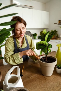 Female gardener taking care of plant in kitchen