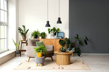 Interior of living room with green plants, table and armchair