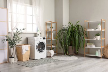 Çamaşır makinesi, çamaşır sepetleri ve odanın penceresinin yanındaki bitkiler.