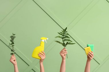 Yeşil arka planda deterjan, sünger ve bitki dalları olan kadın elleri