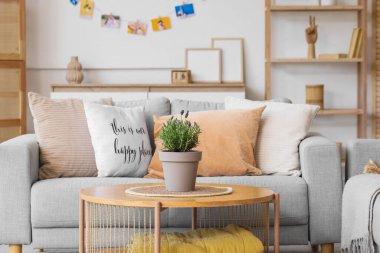 Gri kanepe ve sehpanın üzerinde lavanta çiçekleri olan şık bir oturma odası.