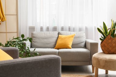 Gri kanepe ve hasır sepet. Oturma odasındaki puf çiçekli.