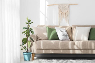 Aydınlık oturma odasının içinde gri koltuklar ve bitkiler var.